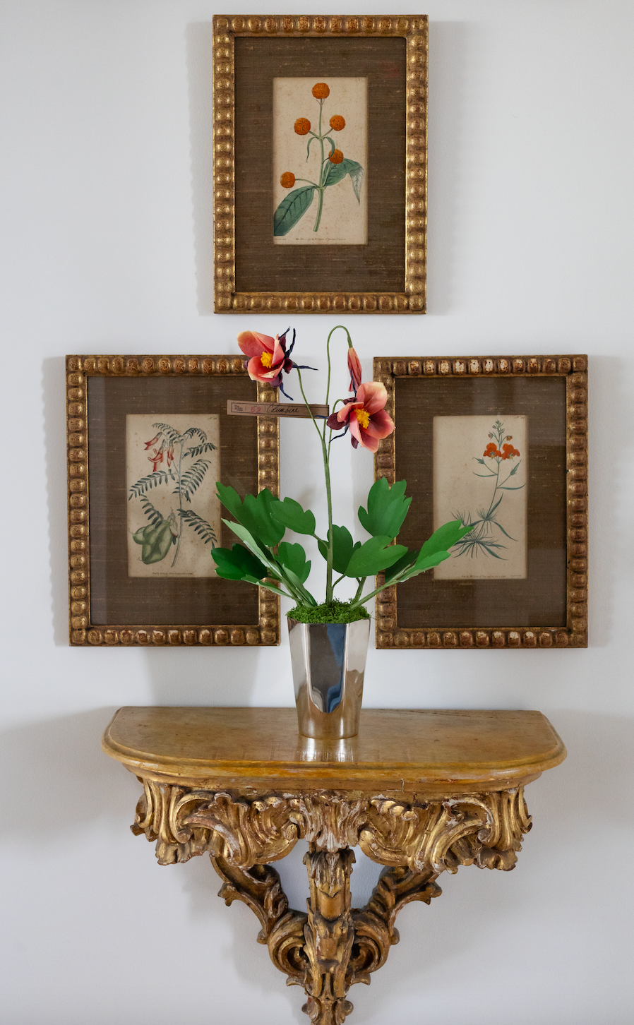 Paper Columbine in Chocolate by The Green Vase