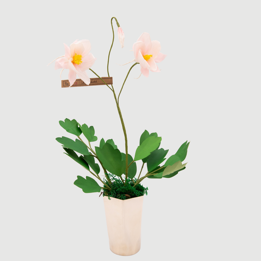 Paper Columbine in Blush by The Green Vase
