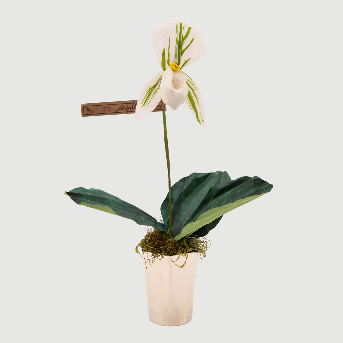 Paper Lady Slipper in White by The Green Vase