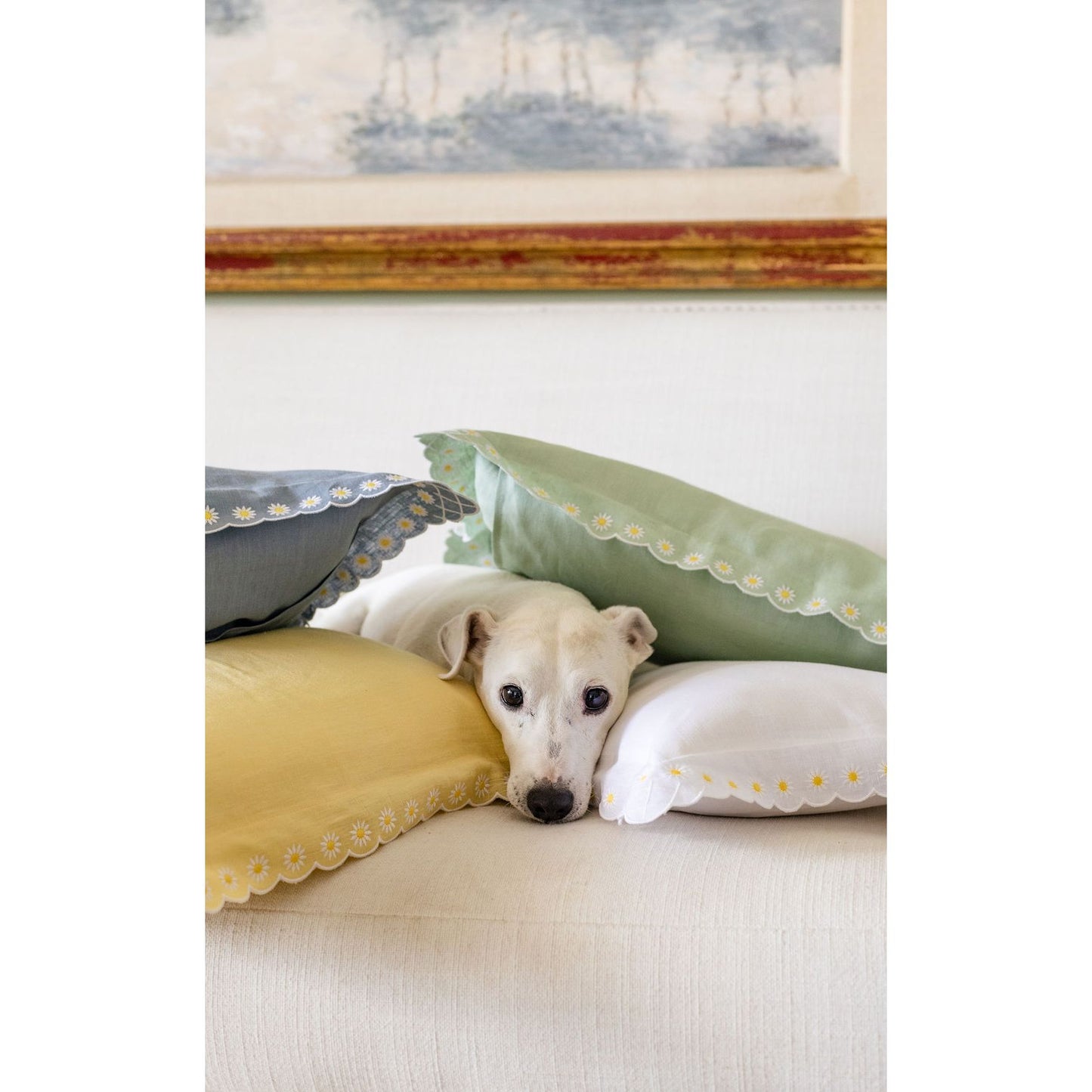 Daisy Boudoir Sham in Celadon