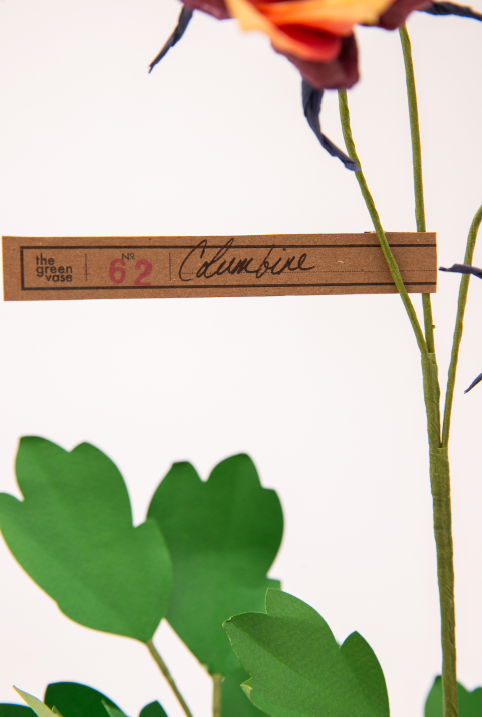 Paper Columbine in Chocolate by The Green Vase