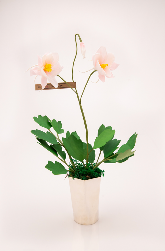 Paper Columbine in Blush by The Green Vase