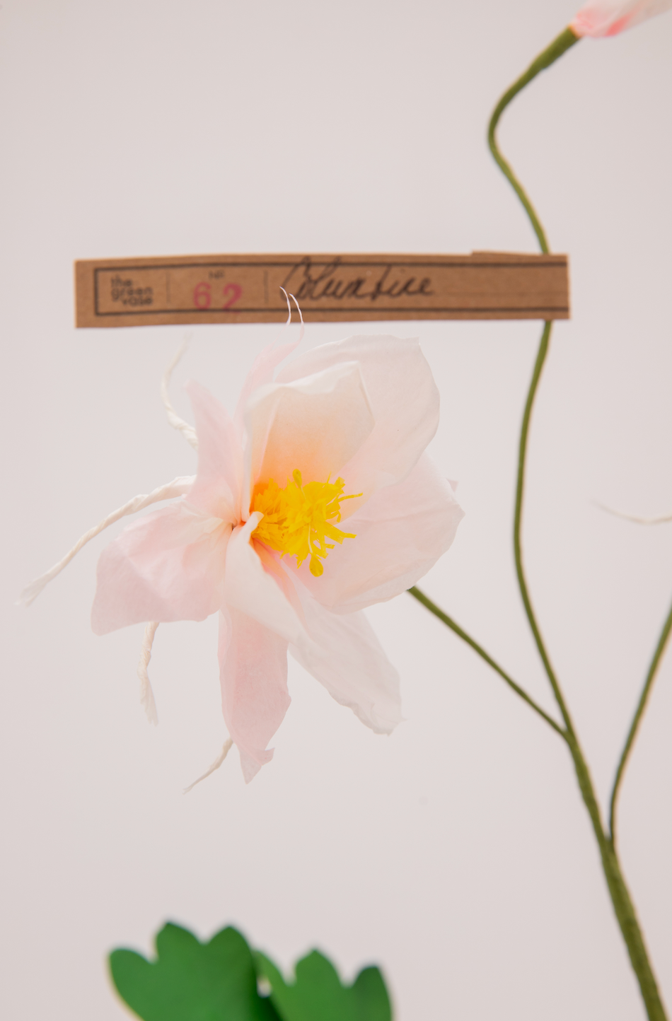 Paper Columbine in Blush by The Green Vase