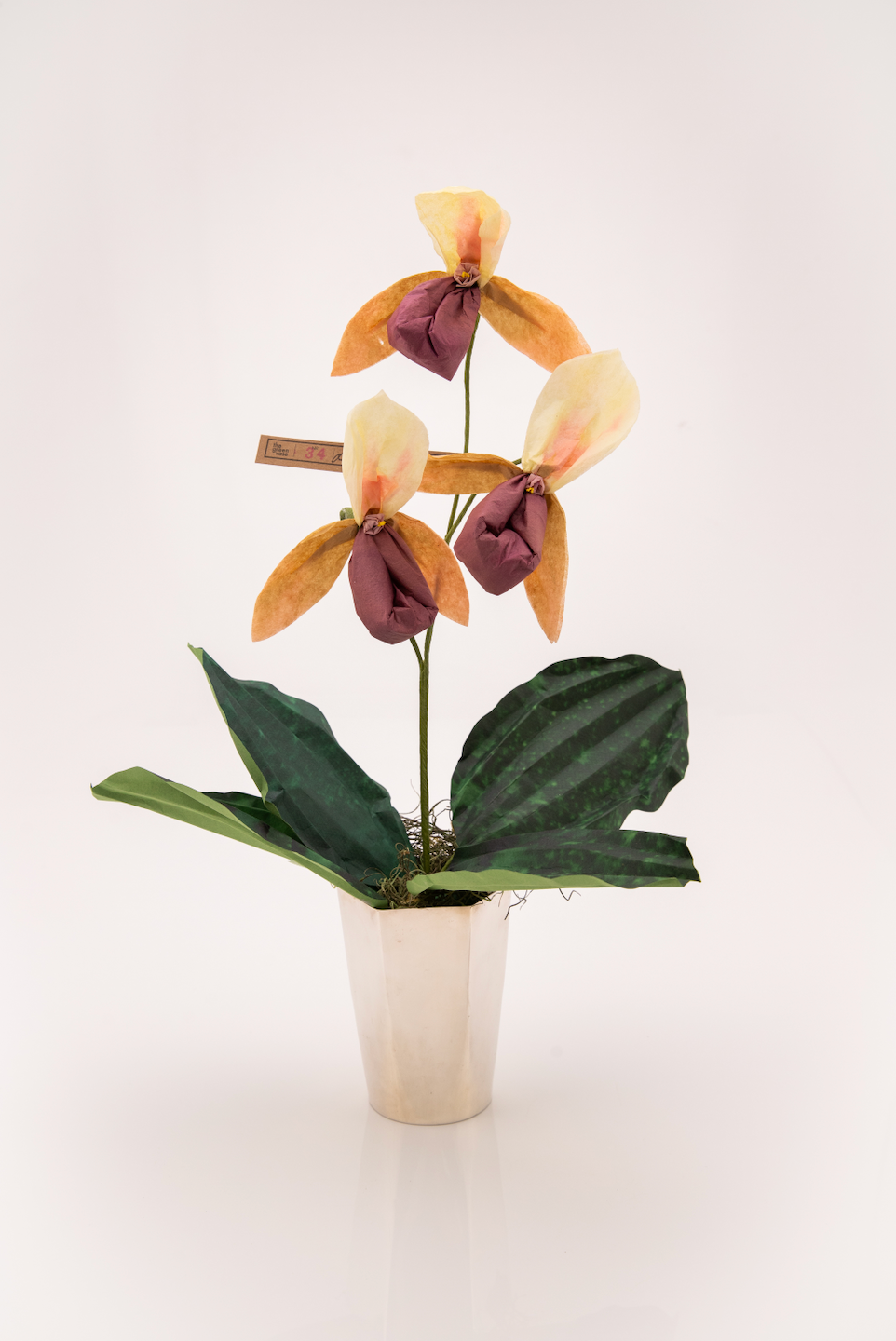 Paper Lady Slipper in Chocolate by The Green Vase