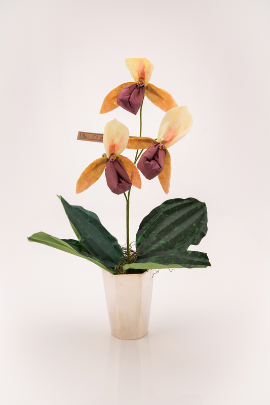 Paper Lady Slipper in Chocolate by The Green Vase