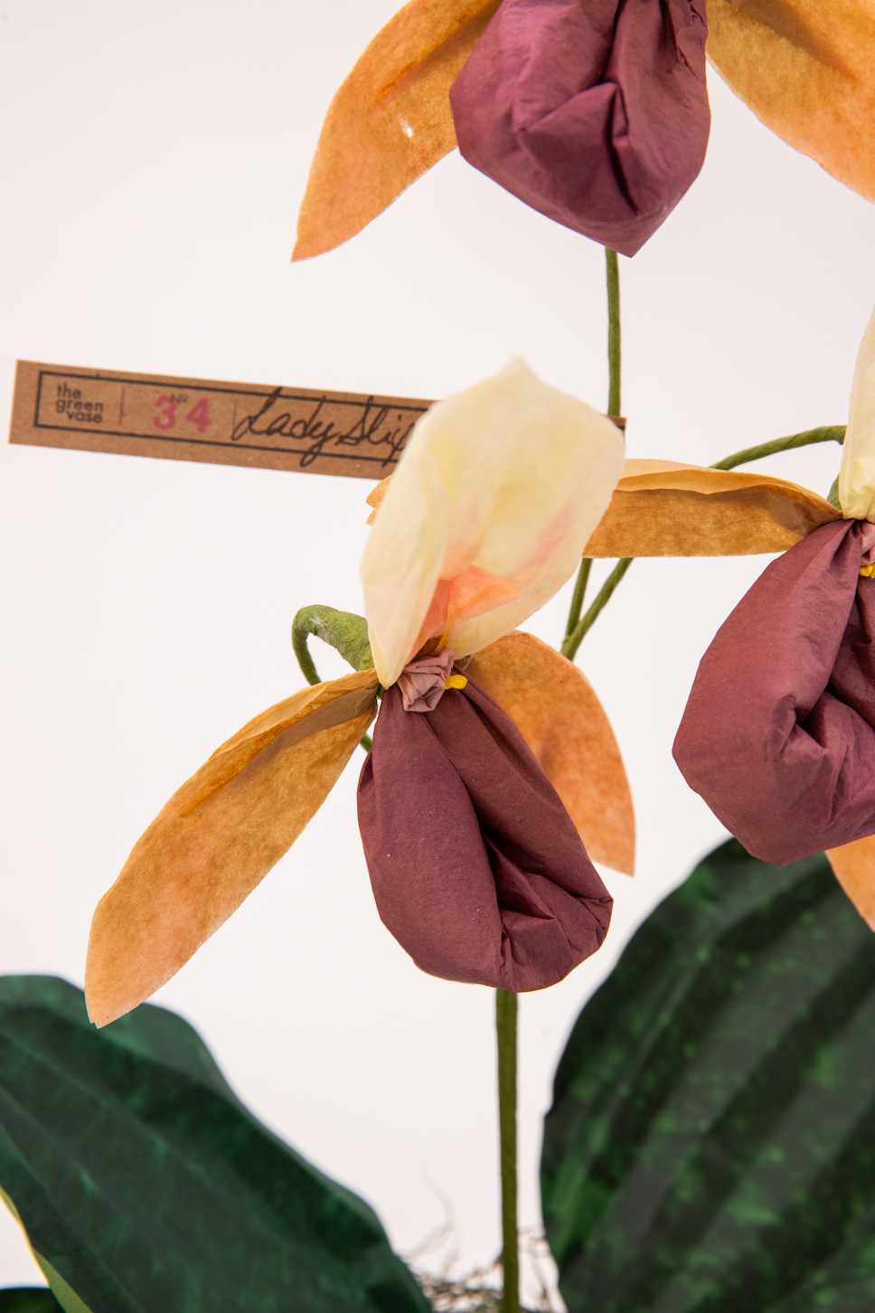 Paper Lady Slipper in Chocolate by The Green Vase