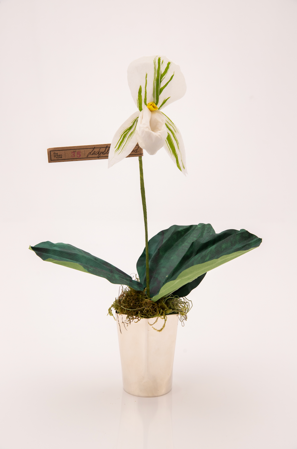 Paper Lady Slipper in White by The Green Vase